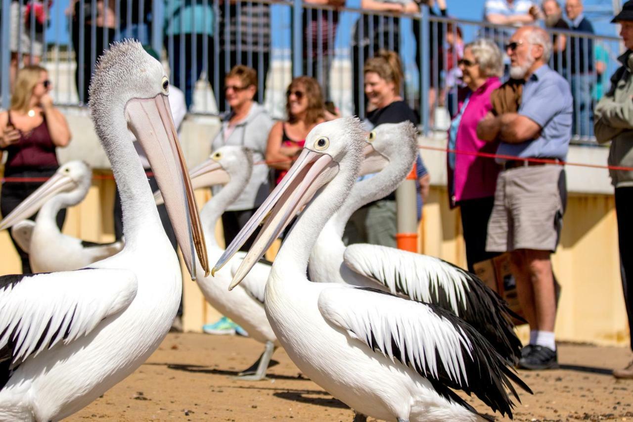 Ingenia Holidays Phillip Island Newhaven Zewnętrze zdjęcie
